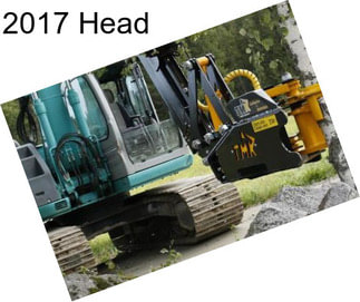 2017 Head