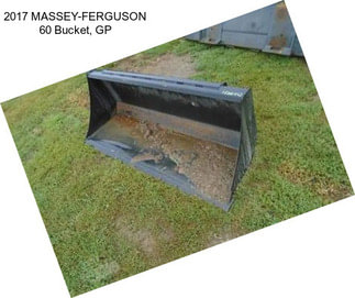 2017 MASSEY-FERGUSON 60\