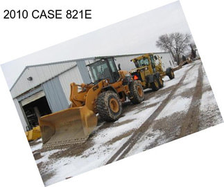 2010 CASE 821E