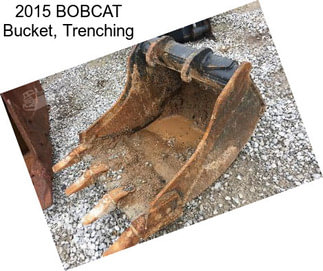 2015 BOBCAT Bucket, Trenching