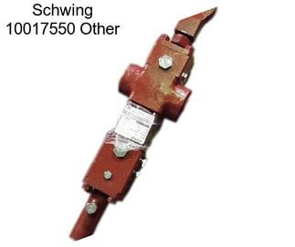 Schwing 10017550 Other