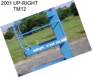 2001 UP-RIGHT TM12