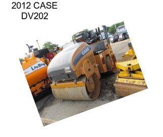 2012 CASE DV202