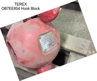 TEREX OB7EE854 Hook Block