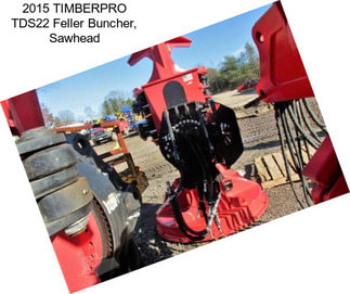 2015 TIMBERPRO TDS22 Feller Buncher, Sawhead