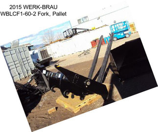 2015 WERK-BRAU WBLCF1-60-2 Fork, Pallet