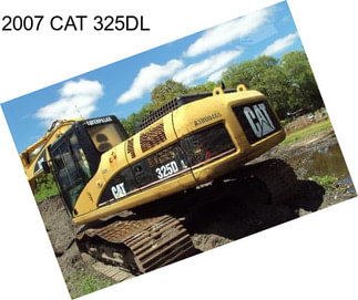 2007 CAT 325DL