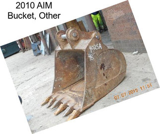 2010 AIM Bucket, Other