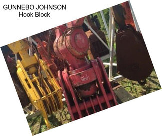 GUNNEBO JOHNSON Hook Block