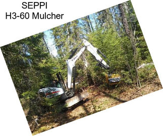 SEPPI H3-60 Mulcher