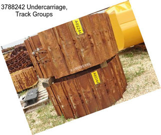3788242 Undercarriage, Track Groups