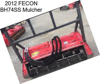 2012 FECON BH74SS Mulcher