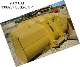 2003 CAT 1308287 Bucket, GP