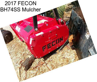2017 FECON BH74SS Mulcher
