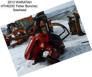 2013 WARATAH HTH623C Feller Buncher, Sawhead