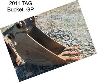 2011 TAG Bucket, GP