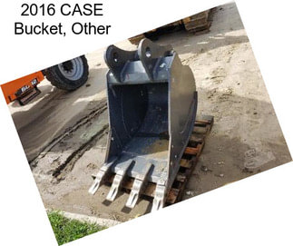 2016 CASE Bucket, Other