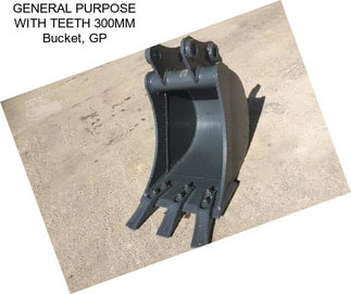 GENERAL PURPOSE WITH TEETH 300MM Bucket, GP