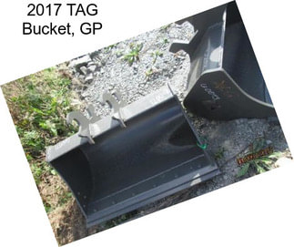 2017 TAG Bucket, GP