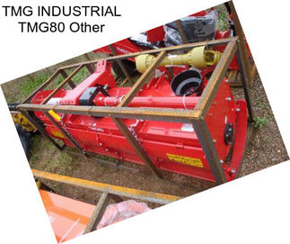 TMG INDUSTRIAL TMG80 Other