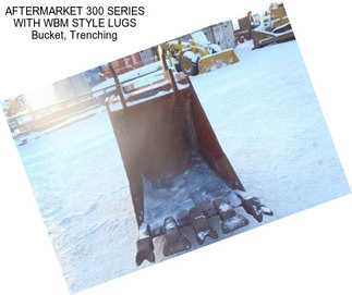 AFTERMARKET 300 SERIES WITH WBM STYLE LUGS Bucket, Trenching