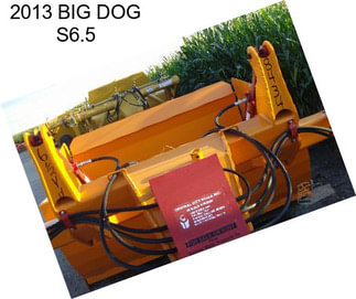 2013 BIG DOG S6.5