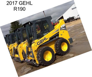 2017 GEHL R190