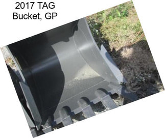 2017 TAG Bucket, GP