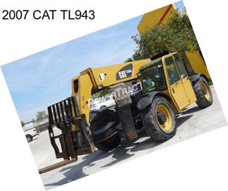 2007 CAT TL943