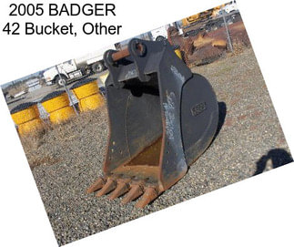 2005 BADGER 42\