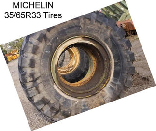 MICHELIN 35/65R33 Tires