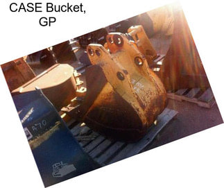 CASE Bucket, GP