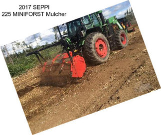 2017 SEPPI 225 MINIFORST Mulcher