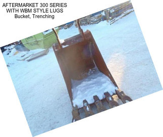 AFTERMARKET 300 SERIES WITH WBM STYLE LUGS Bucket, Trenching