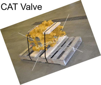 CAT Valve