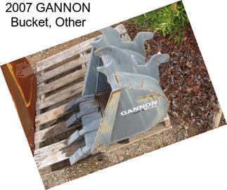 2007 GANNON Bucket, Other