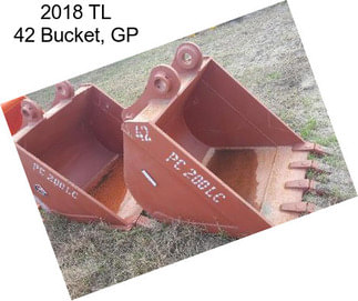 2018 TL 42 Bucket, GP