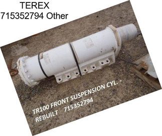 TEREX 715352794 Other