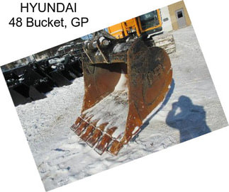 HYUNDAI 48\