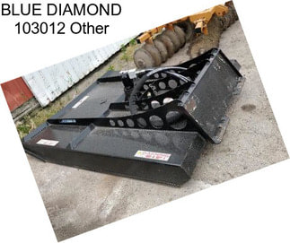 BLUE DIAMOND 103012 Other