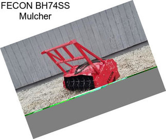 FECON BH74SS Mulcher