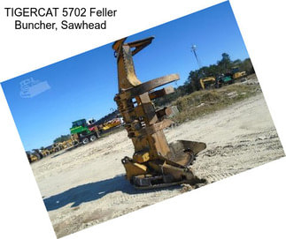 TIGERCAT 5702 Feller Buncher, Sawhead