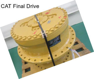 CAT Final Drive