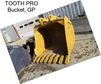 TOOTH PRO Bucket, GP