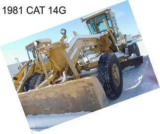 1981 CAT 14G