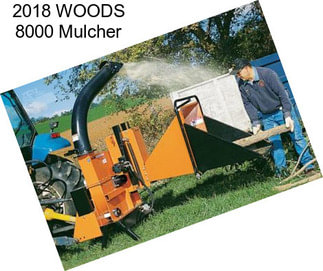 2018 WOODS 8000 Mulcher