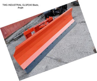 TMG INDUSTRIAL GLSP240 Blade, Angle