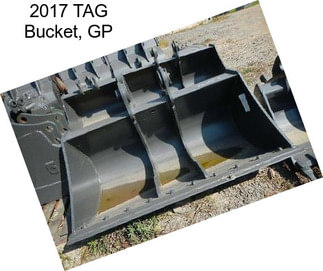 2017 TAG Bucket, GP