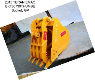 2015 TERAN EMAQ BKT30730THUMBE Bucket, GP