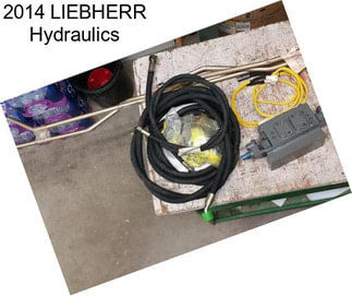 2014 LIEBHERR Hydraulics